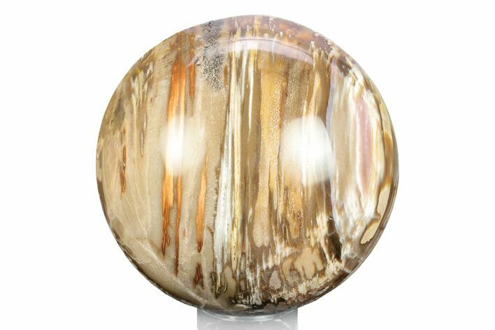 Colorful Petrified Wood (Araucaria) Sphere - Madagascar #245549